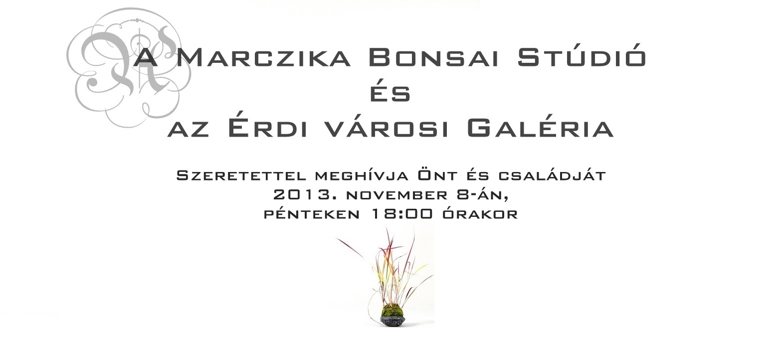 2 bonsai es suiseki mustra bonsaj es suiseki kiallitas meghivo